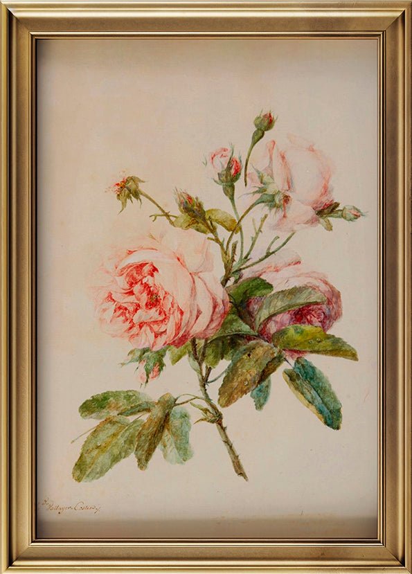 Vintage Pink Roses - Cottage Lane Prints