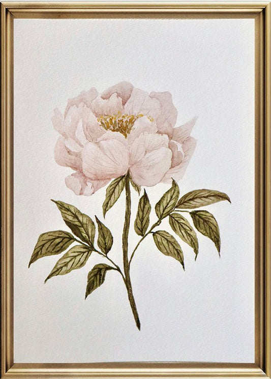 Dreamy Peony - Cottage Lane Prints